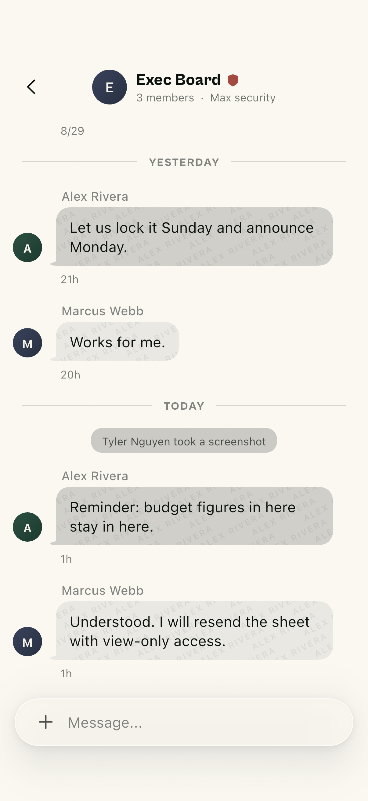 The exec board chat, with a screenshot flagged right in the thread